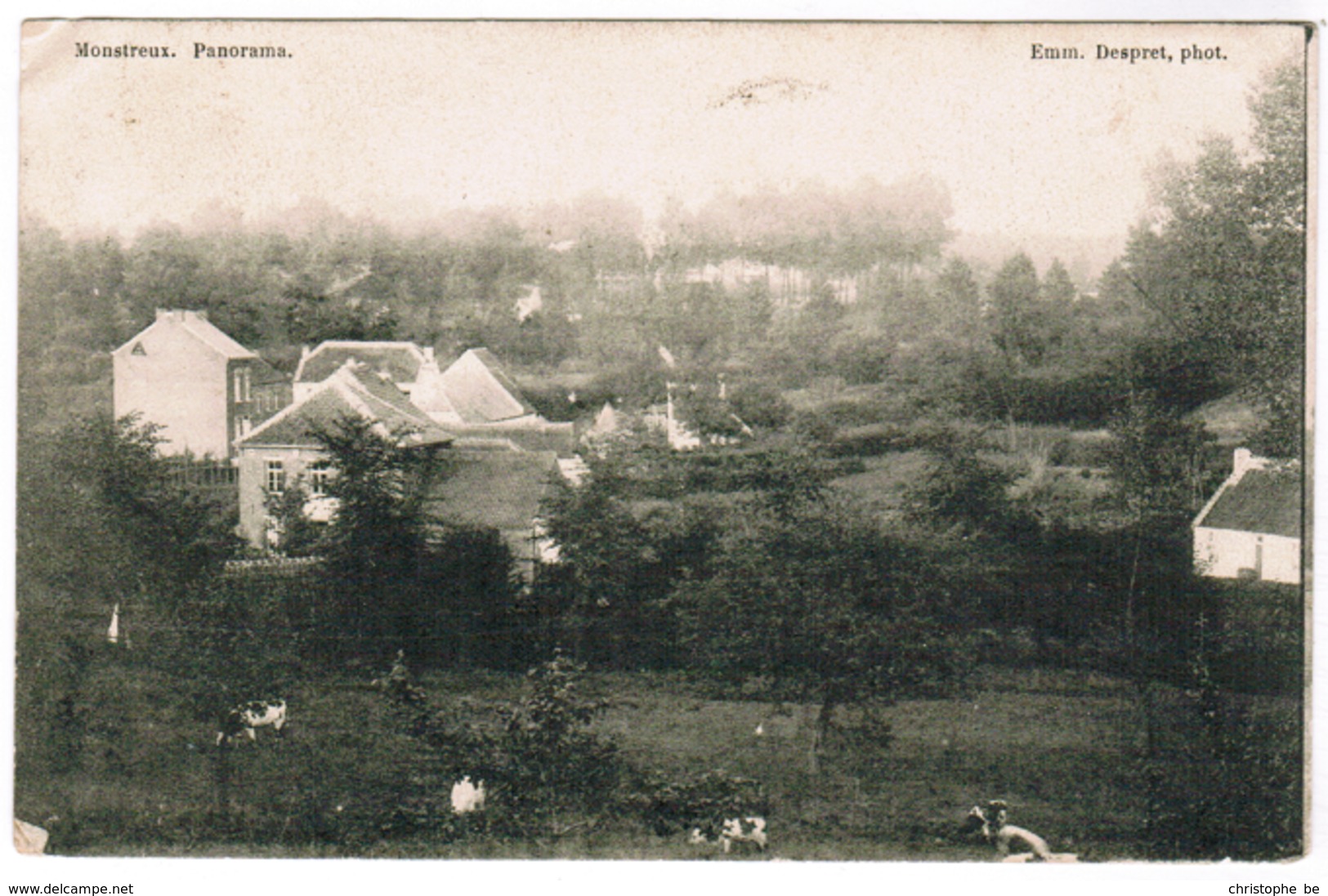 Monstreux, Panorama (pk59174) - Nijvel