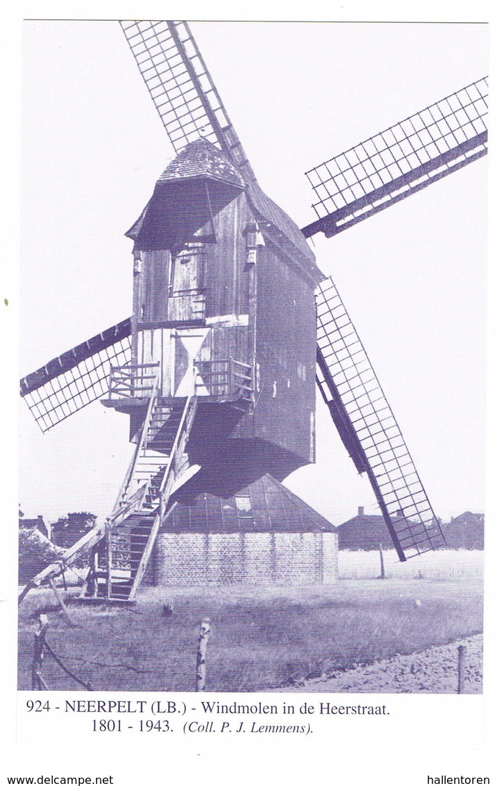 Neerpelt: Windmolen In De Heerstraat ( 2 Scans) - Neerpelt