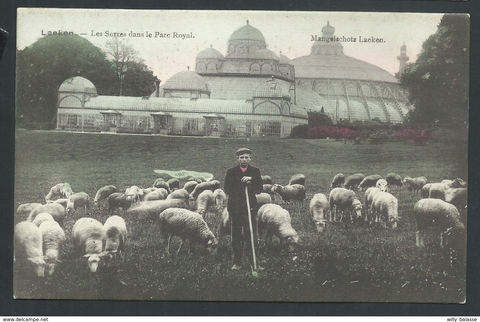 +++ CPA - BRUXELLES.- BRUSSEL - LAEKEN - Les Serres Dans Le Parc Royal - Moutons - Couleur    // - Laeken