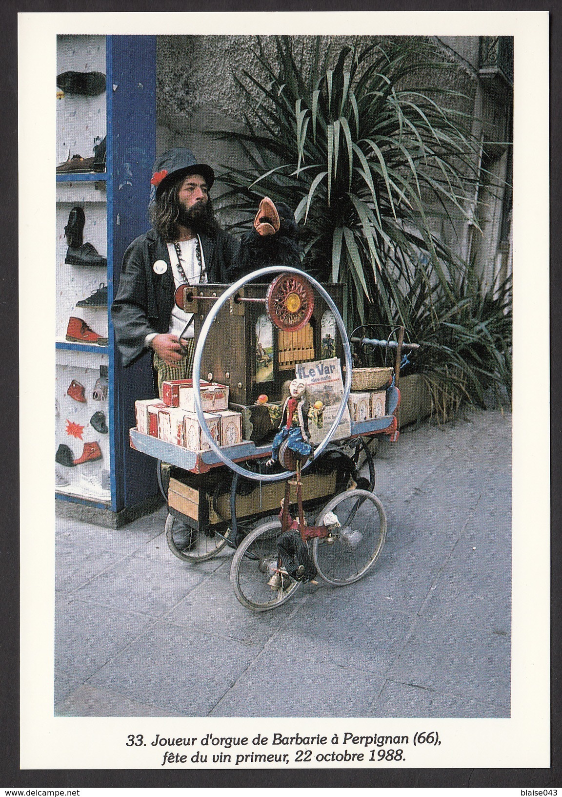 Cpm 66 - Perpignan - Joueur D'orgue De Barbarie - 1988 - Perpignan