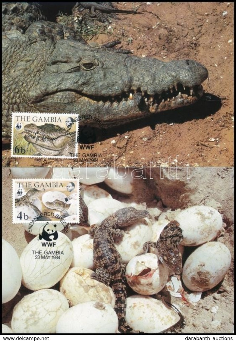 1984 WWF: Nílusi Krokodil Sor Mi 517-520 4 CM-n - Andere & Zonder Classificatie