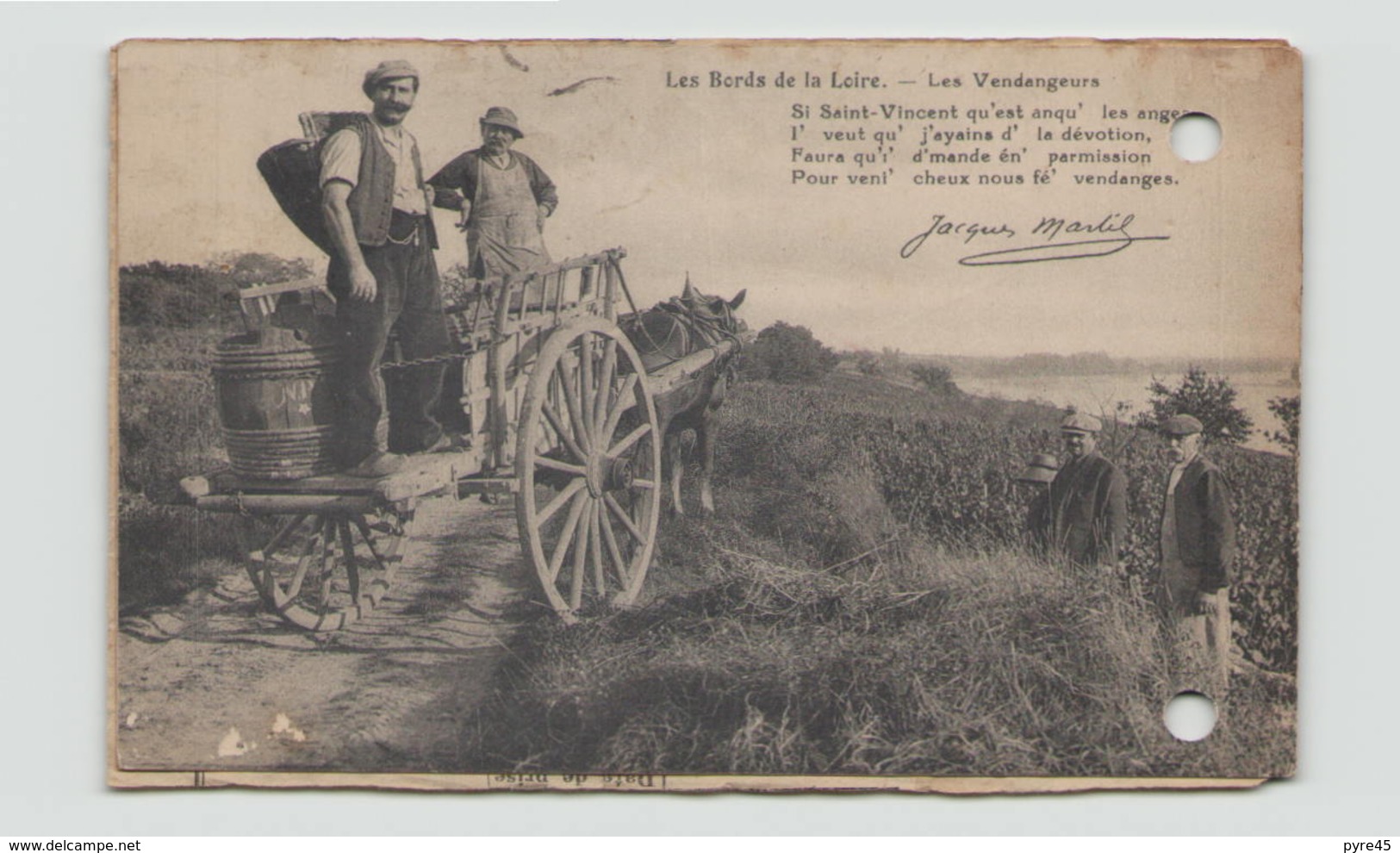 LES BORDS DE LOIRE LES VENDANGEURS DANS L ETAT - Vignes