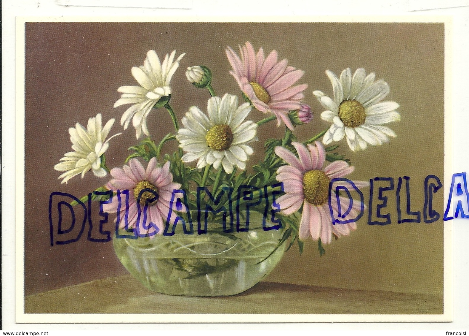 Bouquet De Marguerites. Coloprint Select 9083 - Autres & Non Classés