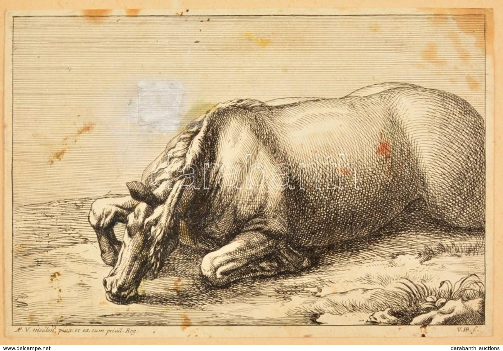 Adam-François Van Der Meulen (1632-1690): Fekvő Ló. Rézmetszet. Jelzett A Dúcon. Javításnyommal / Laying Horse Engraving - Prenten & Gravure