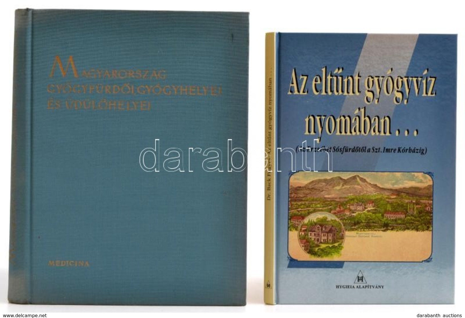 Dr. Back Frigyes: Az Eltűnt Gyógyvíz Nyomában... (Az Erzsébet Sósfürdőtől A Szent Imre Kórházig.). Bp., Hygieia Alapítvá - Zonder Classificatie