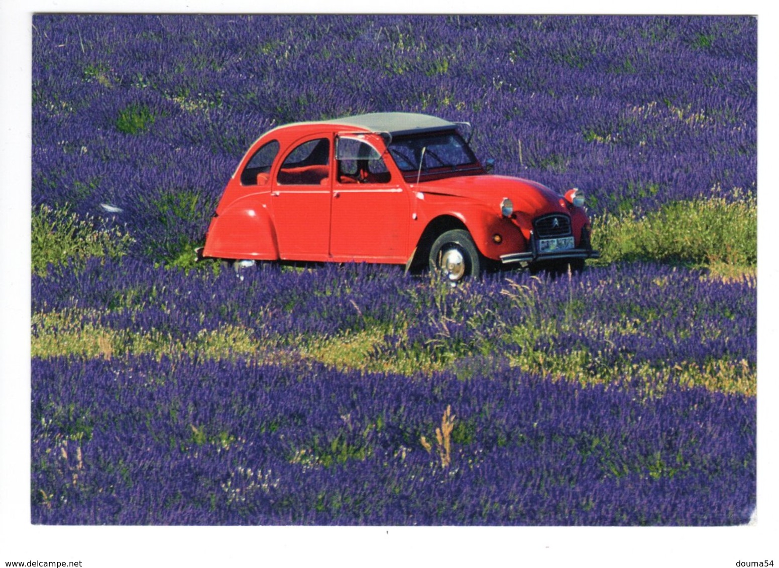 CITROEN 2 Cv - La Deuche Dans La Lavande - PKW