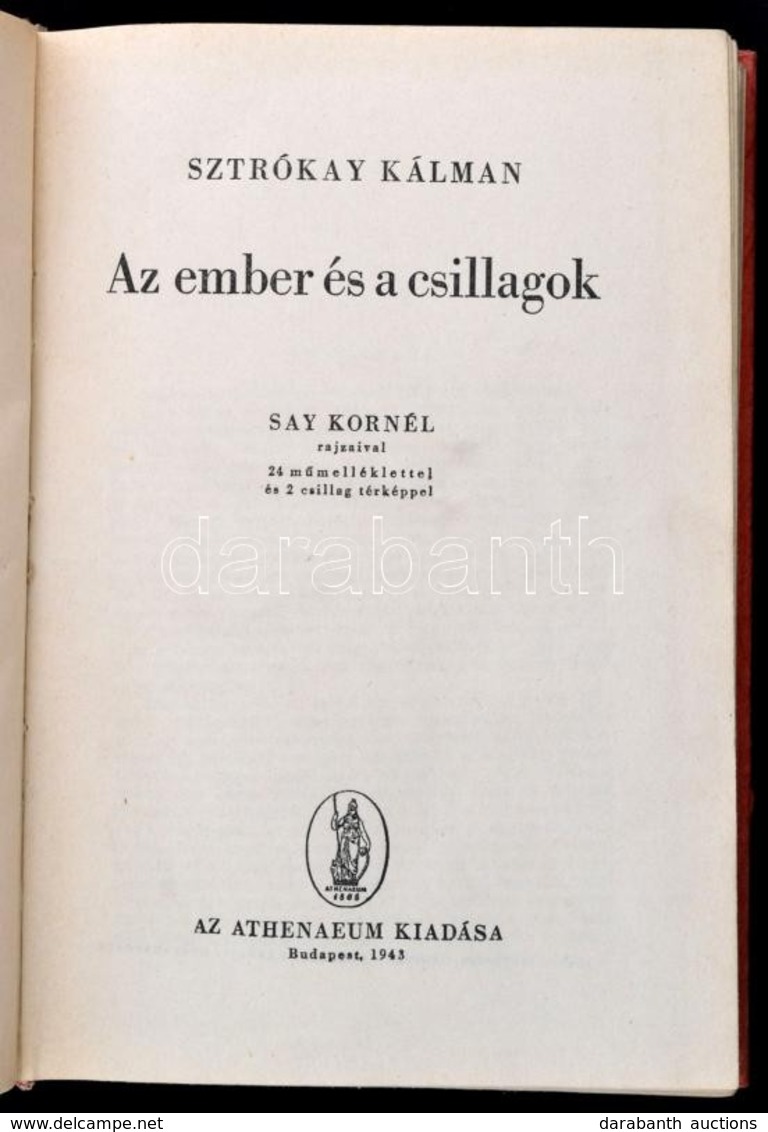 Sztrókay Kálmán: Az Ember és A Számok. Say Kornél Rajzaival. Bp., 1943, Athenaeum. Kiadói Félvászon-kötés. - Ohne Zuordnung