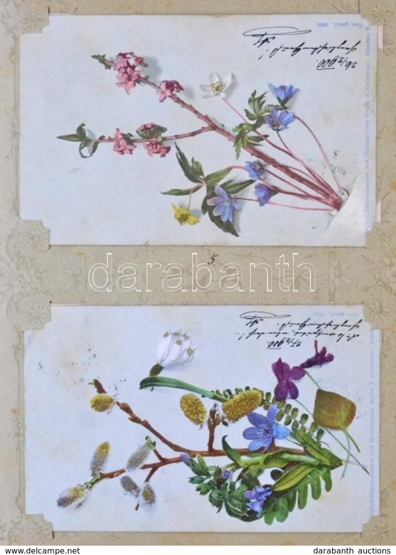 ** * 85 Db RÉGI Virágos Képeslap Sorozat Albumban / 85 Pre-1945 Flower Postcard Series In Album - Zonder Classificatie