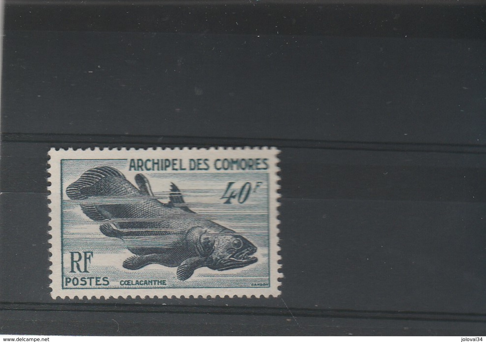 Comores Yvert 13 ** Sans Charnière Gomme Défraichie 2 Scan - Coelacanthe - Neufs