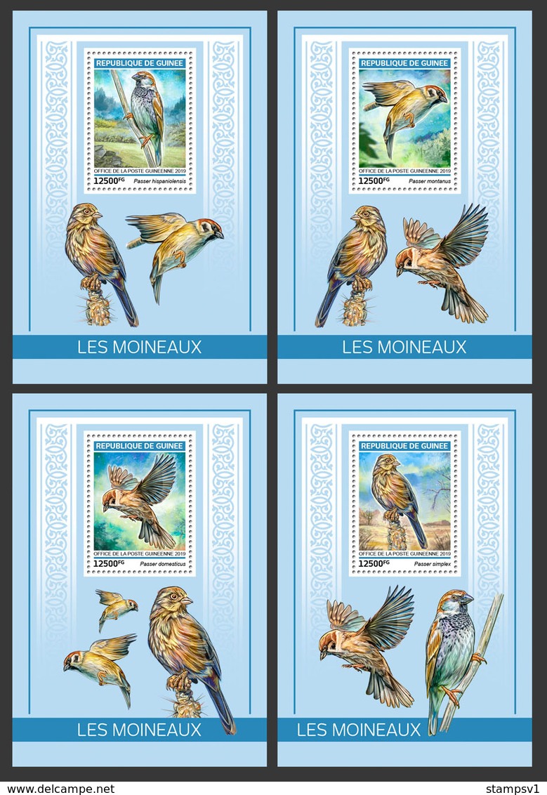 Guinea. 2019 Sparrows. (0116b)  OFFICIAL ISSUE - Moineaux