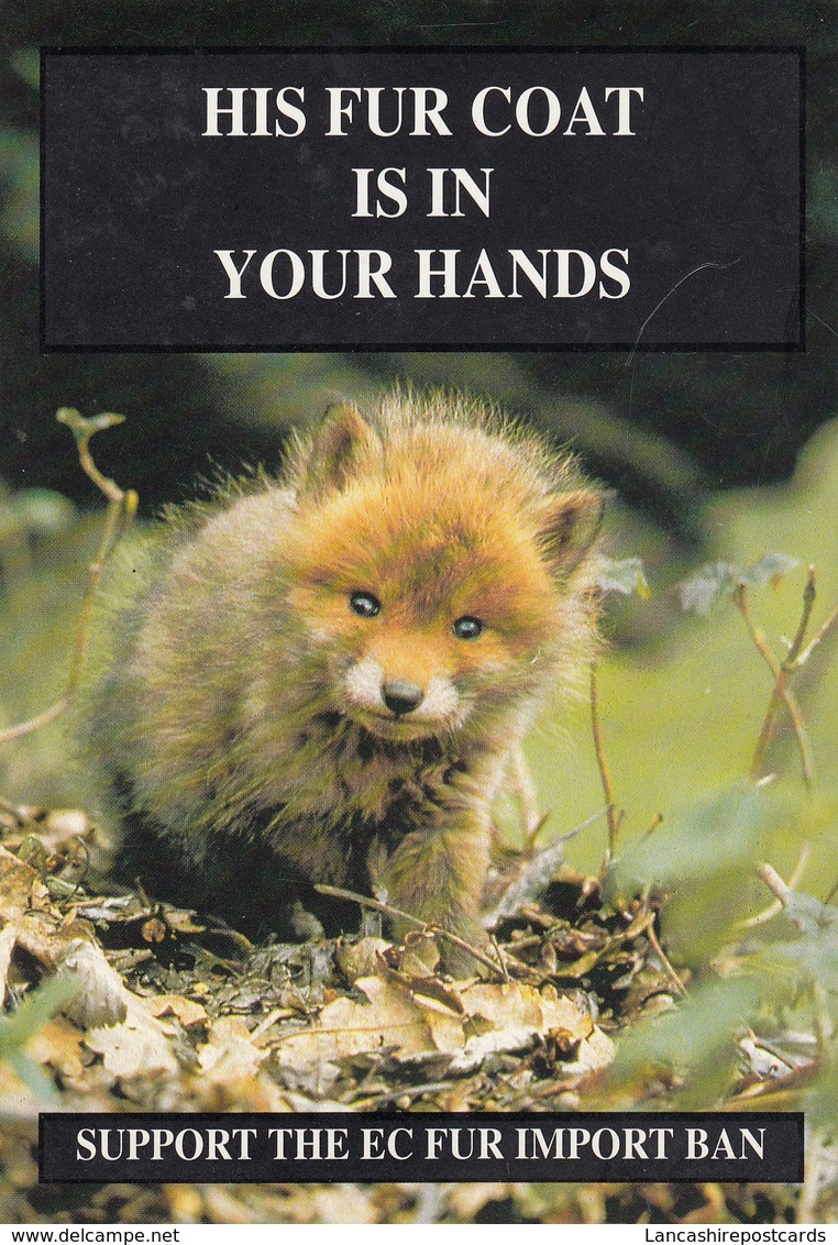 Postcard Fox Cub His Fur Coat Is In Your Hands Animal Protection Support The Fur Ban Campaign My Ref  B23568 - Other & Unclassified