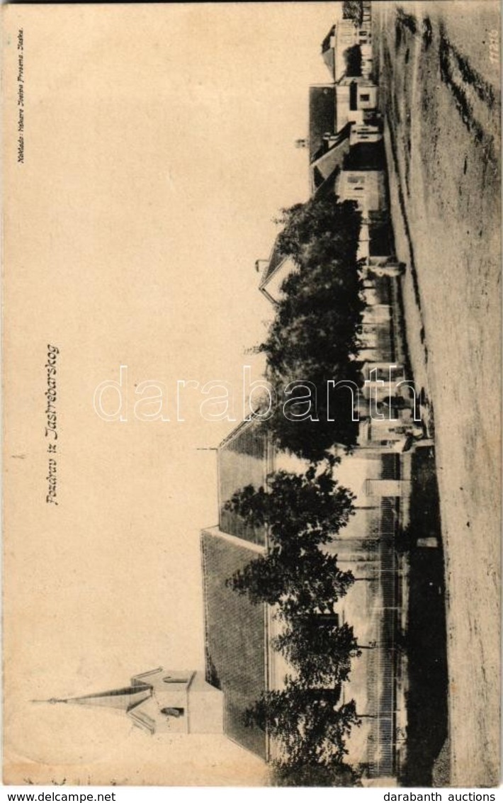 T2 1910 Jasztrebarszka, Jastrebarsko; Utcakép, Templom. R. Trebitsch Felvétele / Street View With Church + Fiume-Zágráb  - Zonder Classificatie