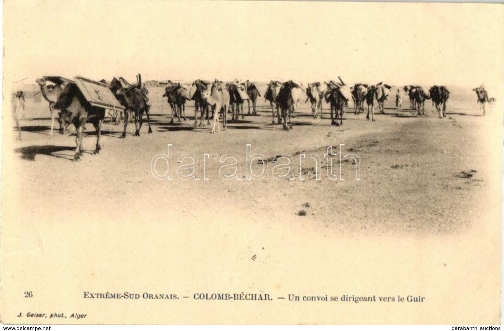 * T2/T3 Béchar, Colomb-Béchar; Camel Caravan (EK) - Zonder Classificatie