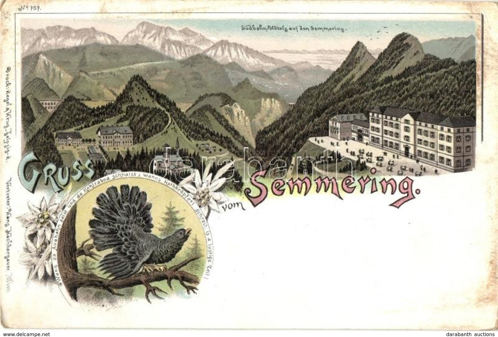 ** T2/T3 Semmering, Südbahn-Hotels. Regel & Krug No. 757. Floral, Art Nouveau, Litho (EK) - Zonder Classificatie