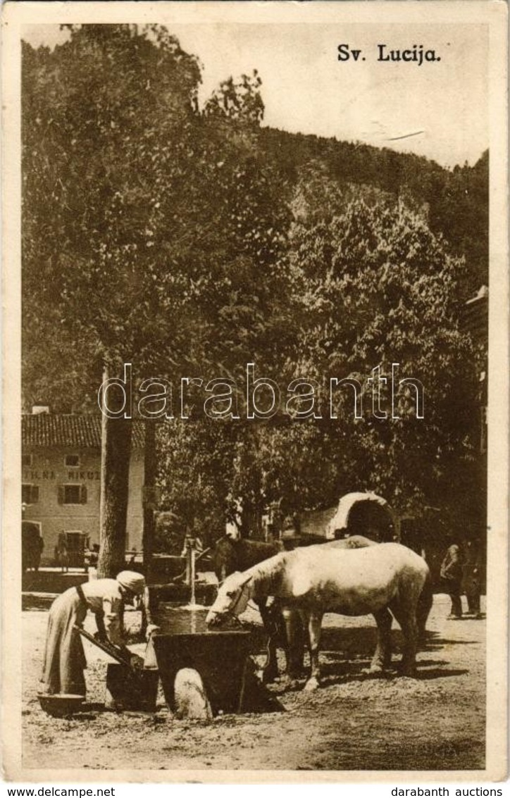 T2/T3 Lucija, Sv. Lucija; Main Square, Drinking Horses - Zonder Classificatie