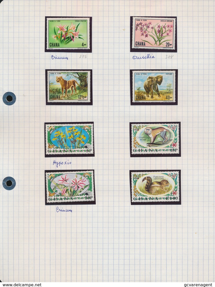 GHANA 13 STAMPS + 1 BLOC    NEW NEUF  2 SCANS - Ghana (1957-...)