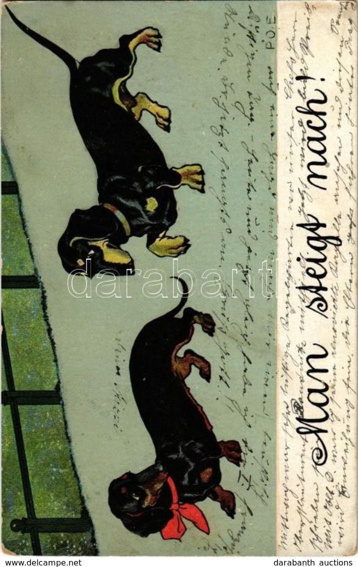 T2/T3 Man Steight Nach! / Dachshund Art Postcard, Dogs, Artist Signed (EK) - Zonder Classificatie