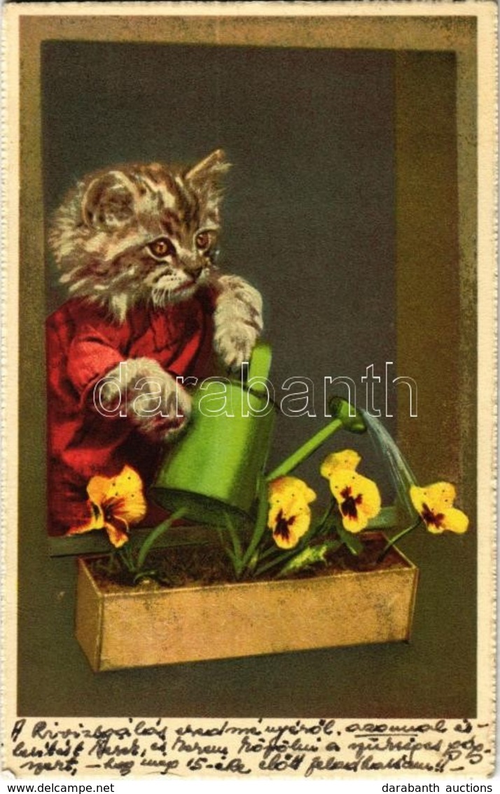 T2/T3 Cat Watering The Flowers (EK) - Zonder Classificatie
