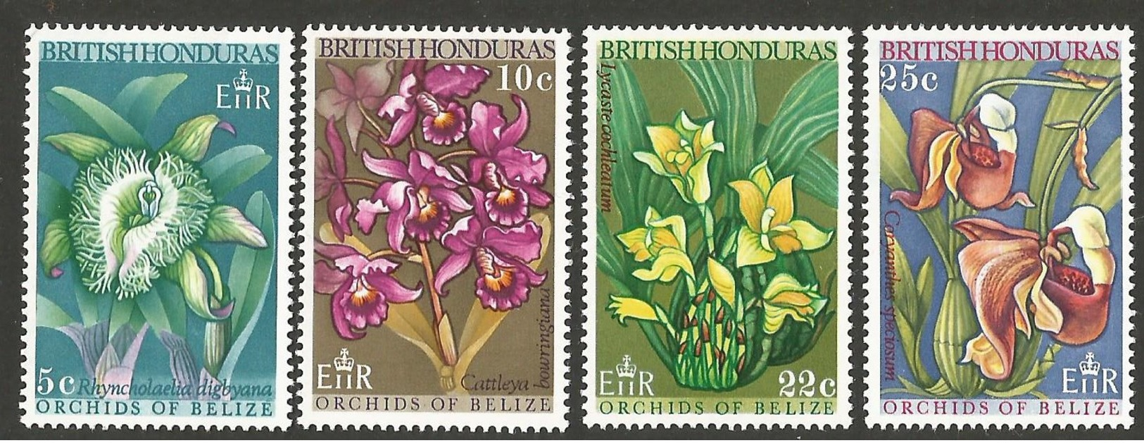 British Honduras.  1969 Orchids Of Belize. SG 268-271. MNH - British Honduras (...-1970)