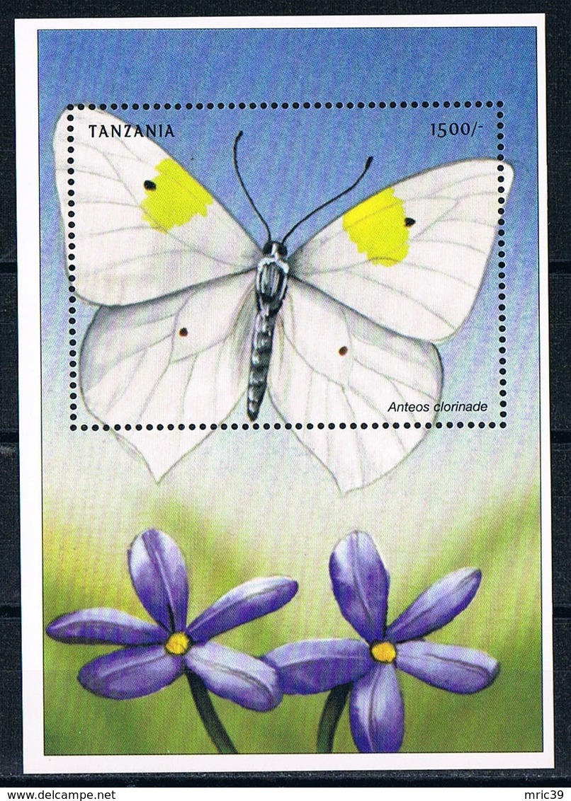 Bloc Sheet Insectes Papillons Insects Butterflies  Neuf  MNH ** Tanzanie Tanzania 1999 - Papillons