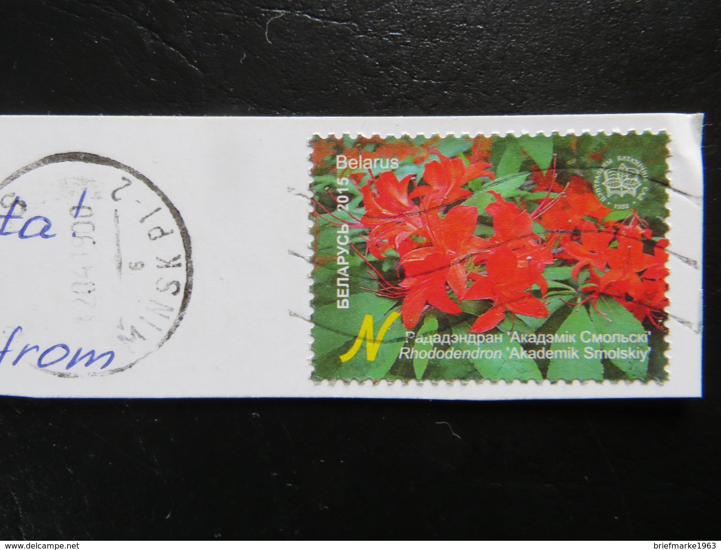 2015  " Rhododendrum "  Echt Gelaufen   LOT 576 - Wit-Rusland