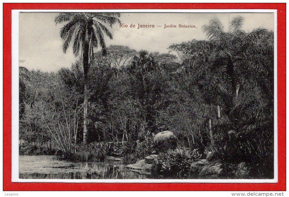 Amérique - BRESIL -- Rio De Janeiro -- Jardin Botanico - Rio De Janeiro