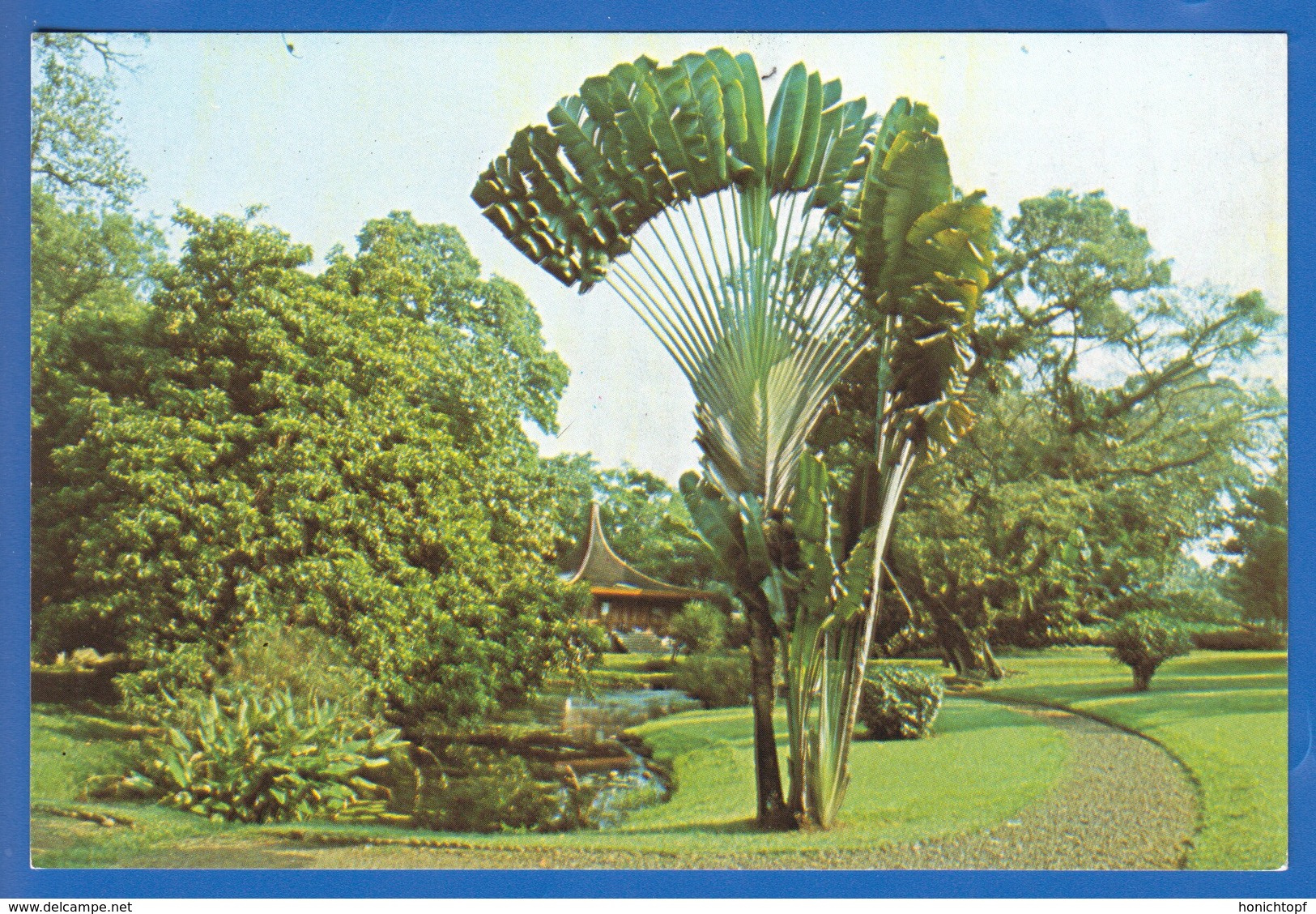 Indonesien; Kebun Raya Bogor - Indonesien