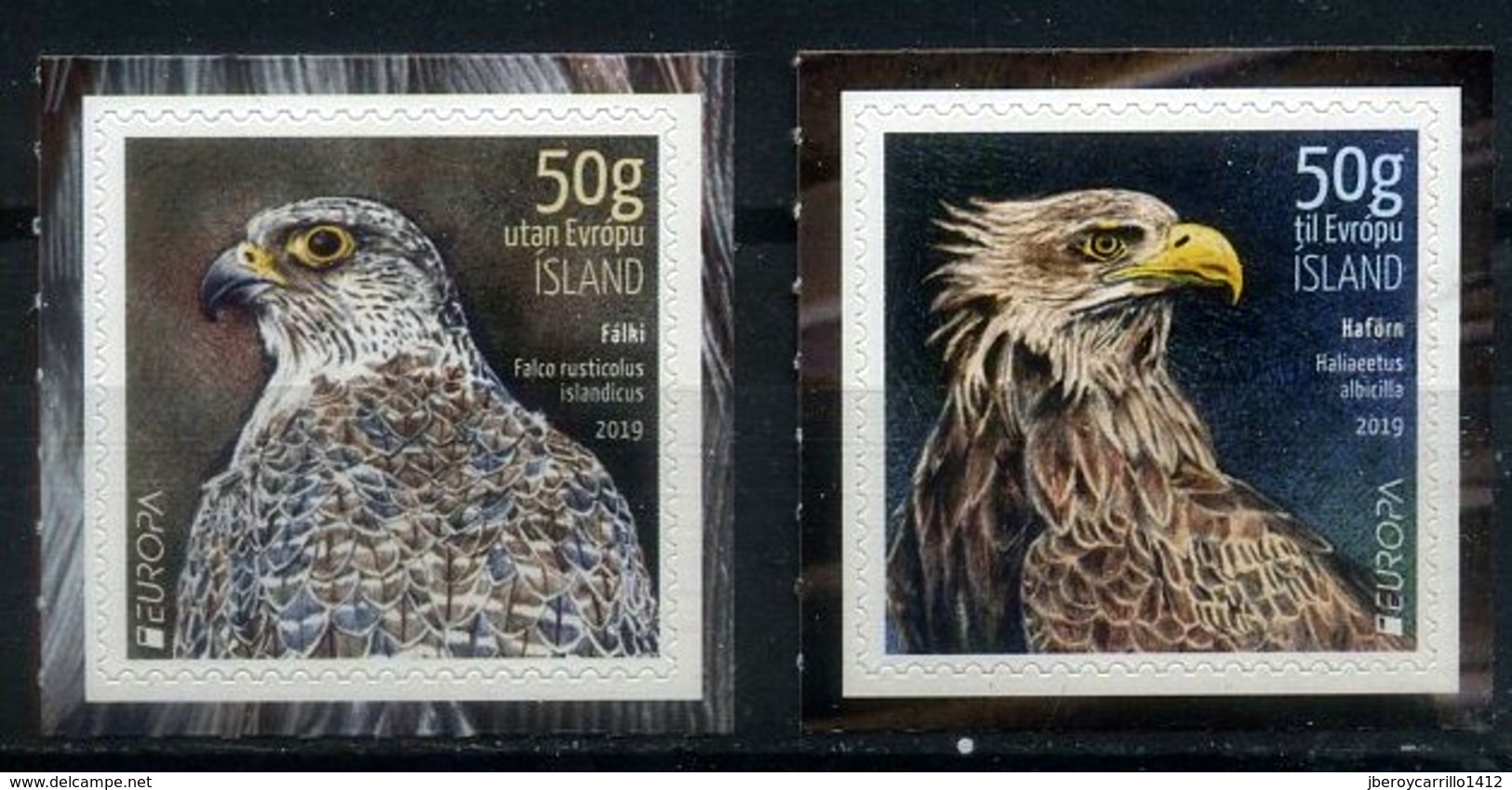 ISLANDIA /ICELAND /ISLAND /ISLANDE -EUROPA 2019 -NATIONAL BIRDS.-"AVES -BIRDS -VÖGEL -OISEAUX"- SERIE De 2 V. - N - 2019