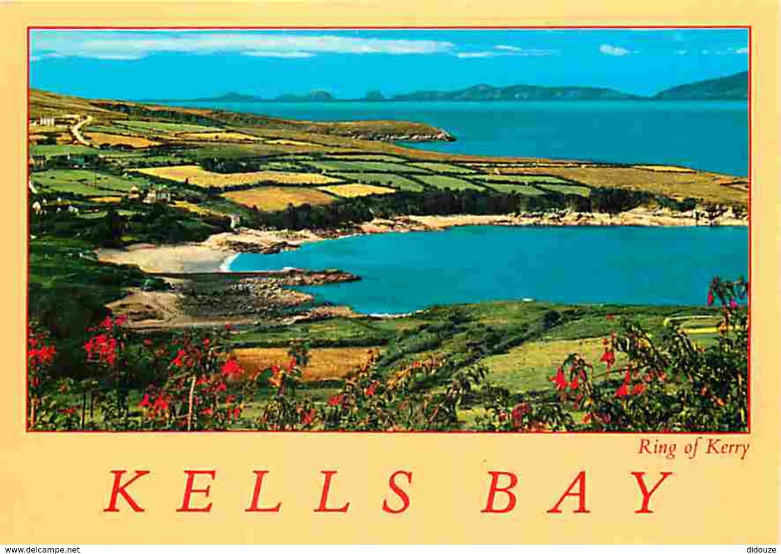 Irlande - Kerry - Kells Bay - Ring Of Kerry - Carte Neuve - Ireland - Voir Scans Recto-Verso - Kerry