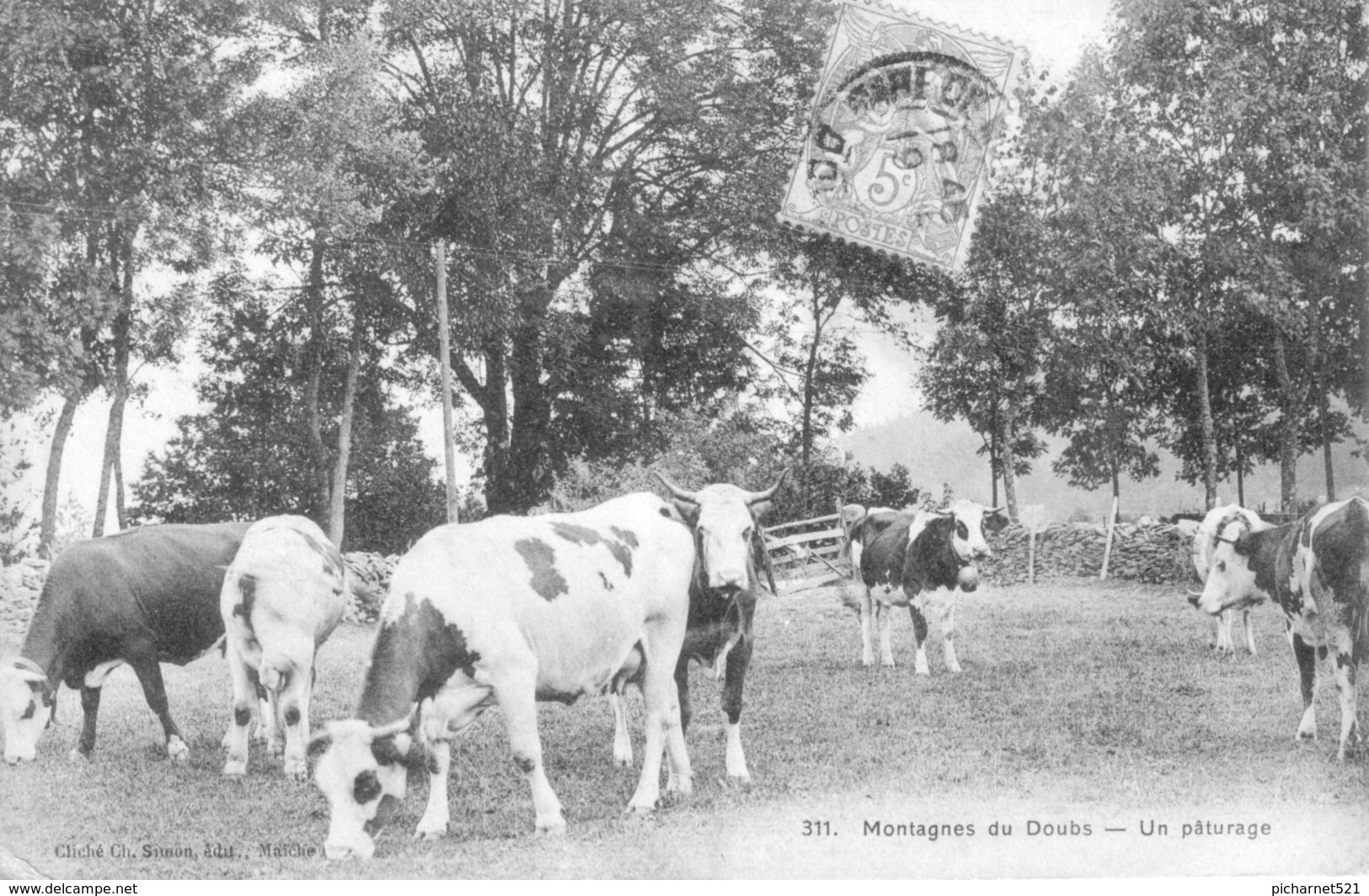 CPA - Montagnes Du Doubs. Un Pâturage. Edition Simon. N° 311. Circulée. Bon état. - Pontarlier