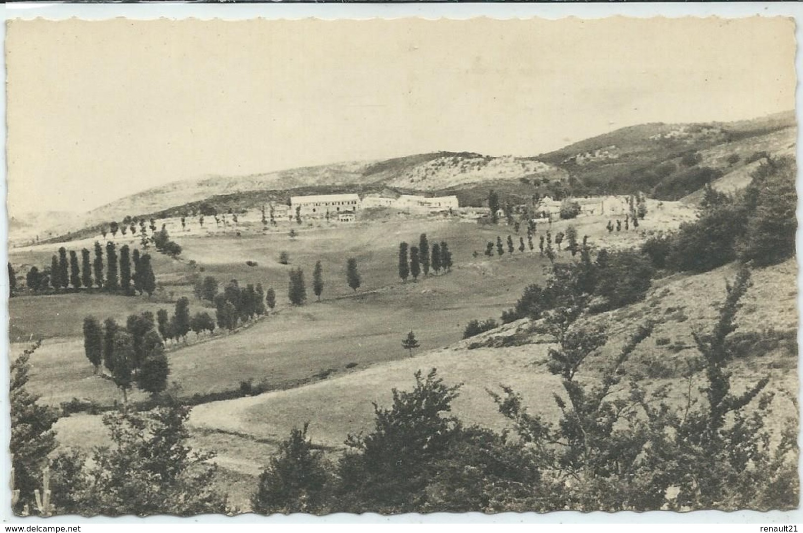 Masméjean-Enfance Ouvrière Nîmoise Au Grand Air-La Forêt De Hêtres (CPSM) - Autres & Non Classés