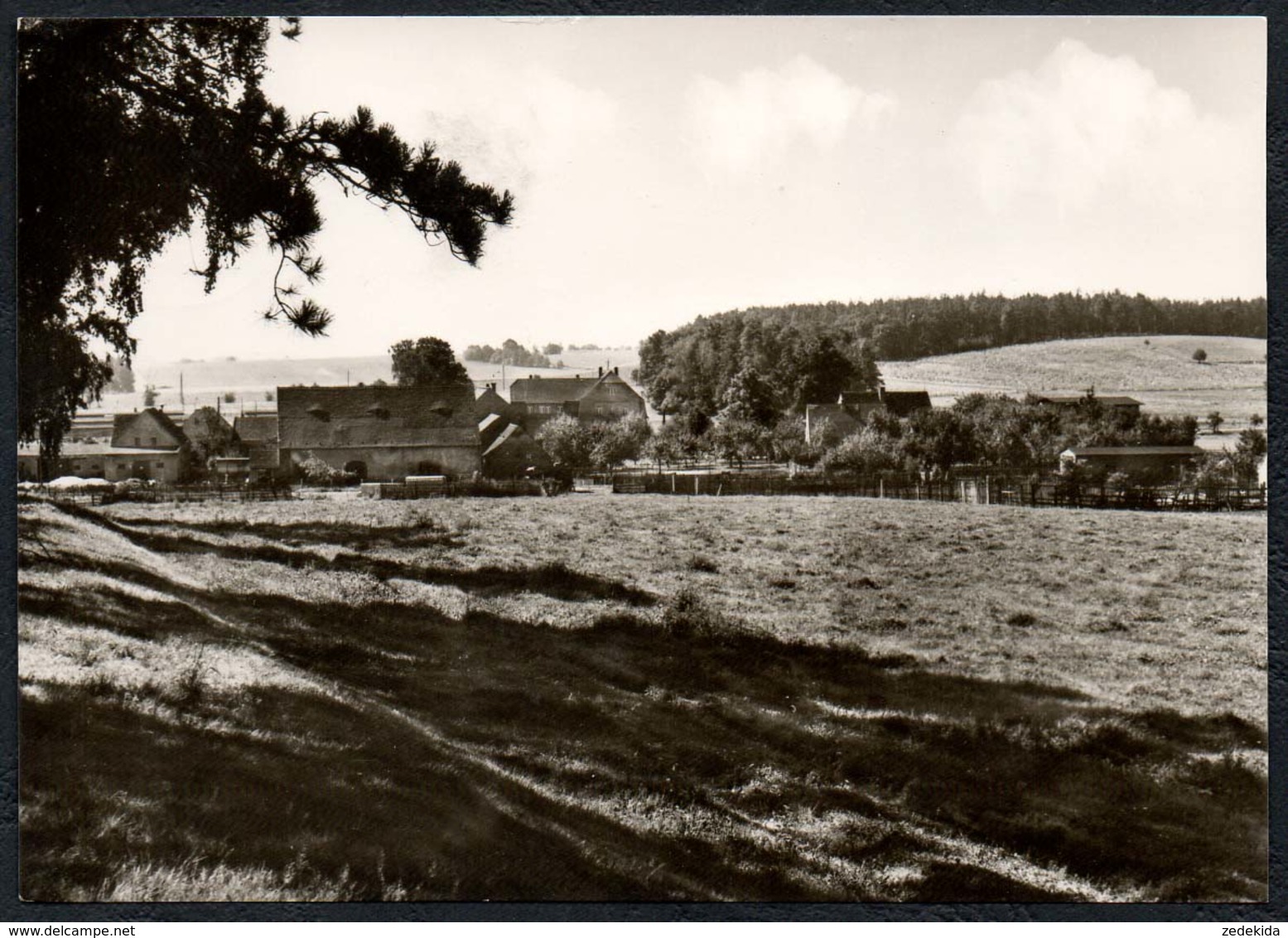 C4921 - Schöna Dahlener Heide - Konsum Fotocolor Magdeburg - Jakubek - Schöna