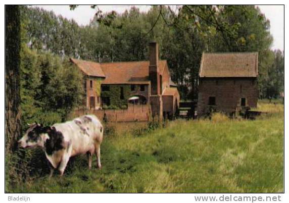GALMAARDEN (Vlaams-Brabant) - Molen/moulin - Watermolen 'Driscartmolen' Op De Marke (opname: Ca. 1990) - Galmaarden