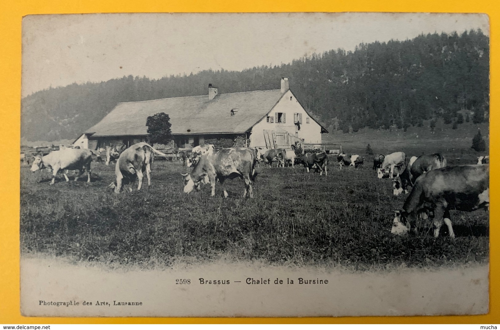 8585 -  Le Brassus Chalet De La Bursine Vaches - Autres & Non Classés