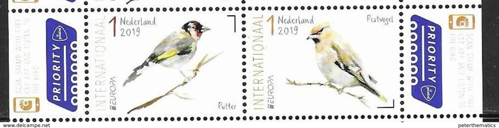 NETHERLANDS, 2019, MNH, EUROPA, BIRDS,  2v - 2019