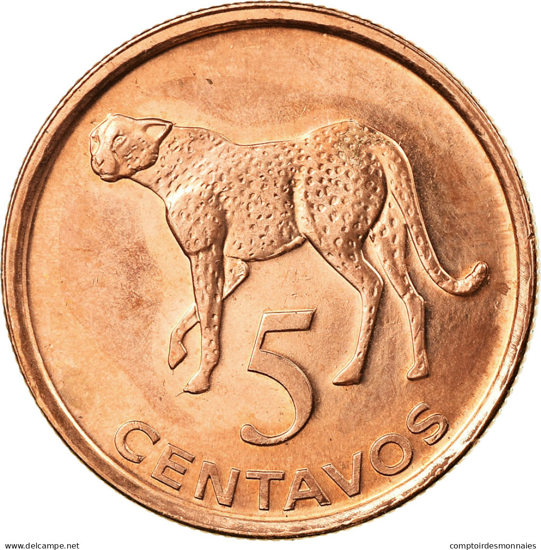 Monnaie, Mozambique, 5 Centavos, 2006, TTB, Copper Plated Steel, KM:133 - Mozambique