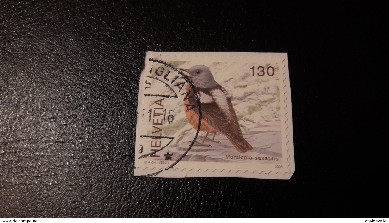 2008 Uccelli Manticola Saxatilis - Used Stamps