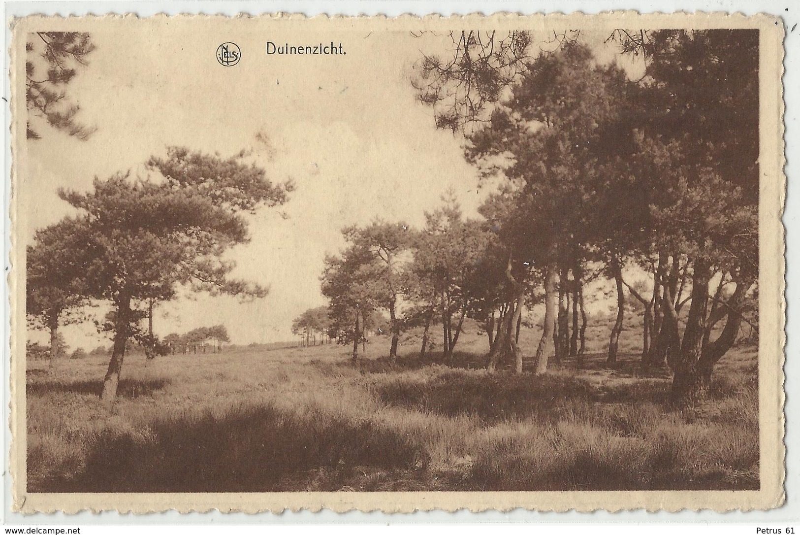 Heide - Kalmthout - Duinenzicht - Kalmthout