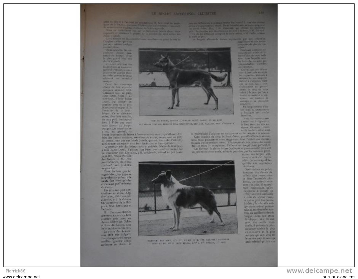 1912 CONCOURS HIPPIQUE BRUXELLES ET SPA / EXPOSITION CANINE PARIS / ESCRIME / BOXE CARPENTIER / CYCLISME BORDEAUX PARIS - 1900 - 1949