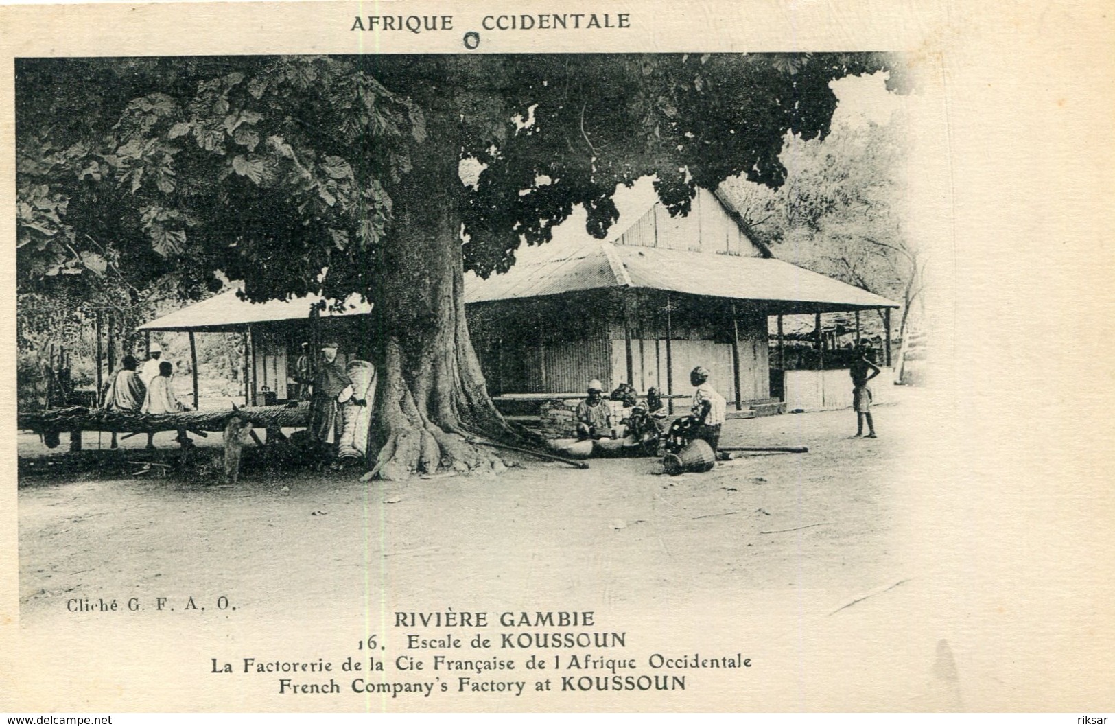 GAMBIE(KOUSSOUN) ARBRE(FACTORERIE) - Gambia