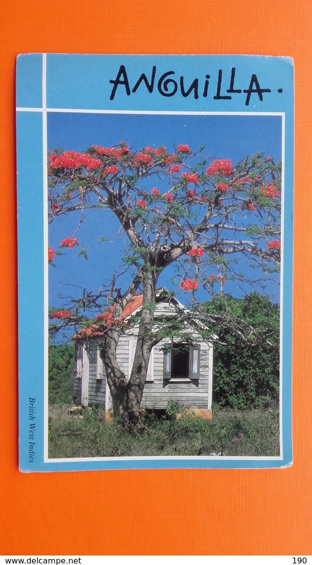 Anguilla.Flamboyant Tree And Old House - Altri & Non Classificati