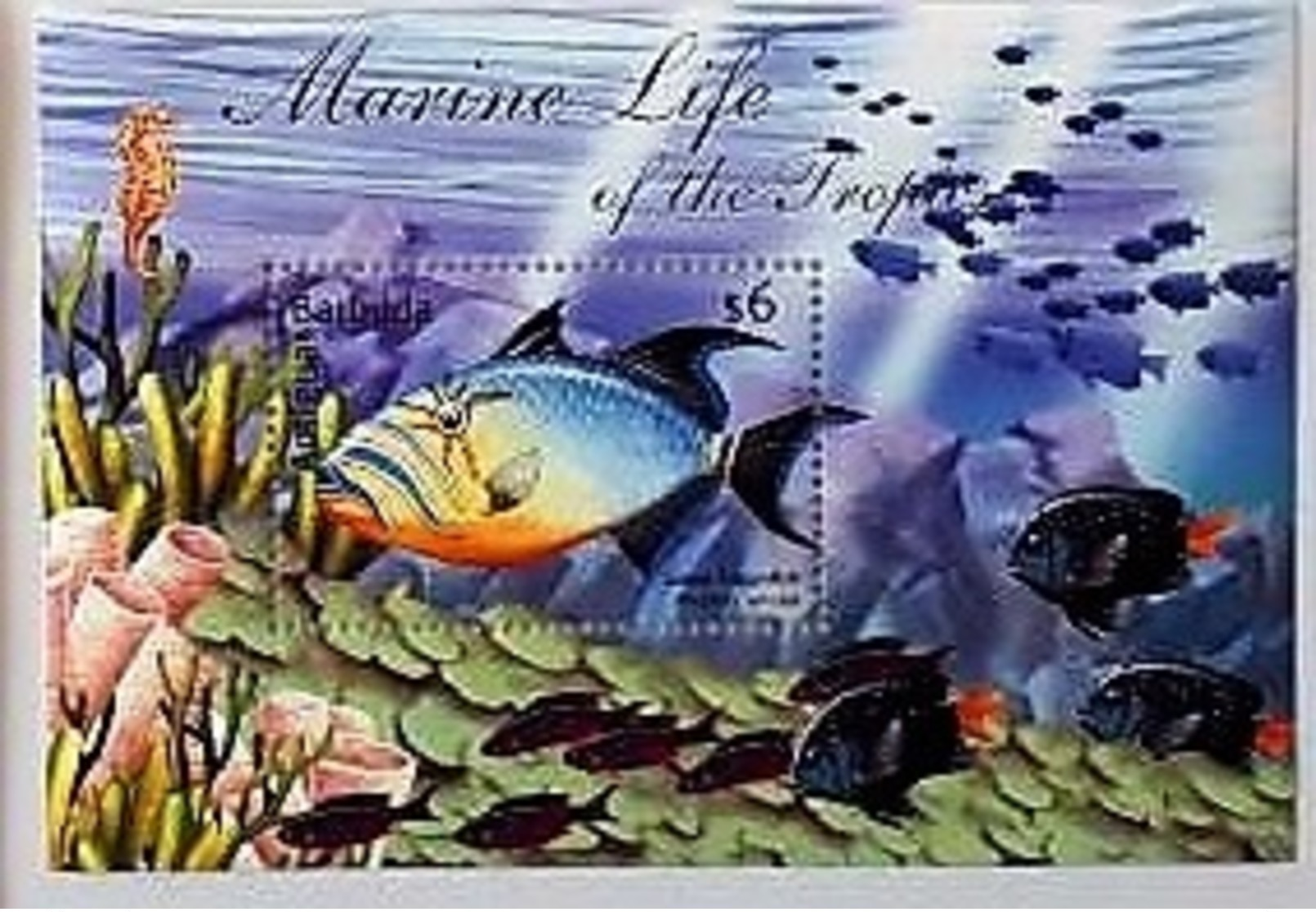 Antigua Barbuda 2001**Marine Life, MNH [19;32] 1. - Meereswelt