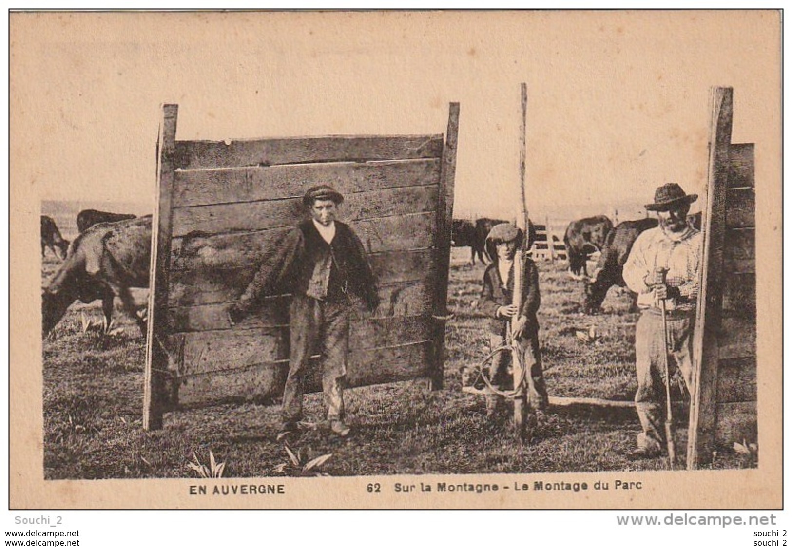 GU 16 -  L' AUVERGNE  -  SUR LA MONTAGNE - MONTAGE DU PARC - PAYSANS , TROUPEAU DE VACHES  - 2 SCANS - Auvergne