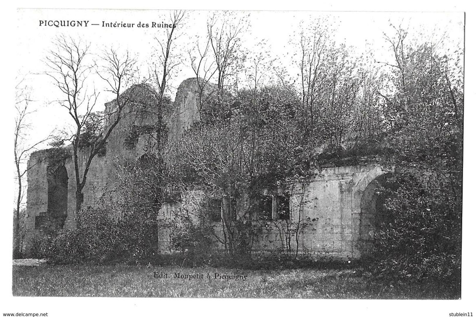 Picquigny (Somme)  Ruines Du Château        LES 2 CARTES - Picquigny