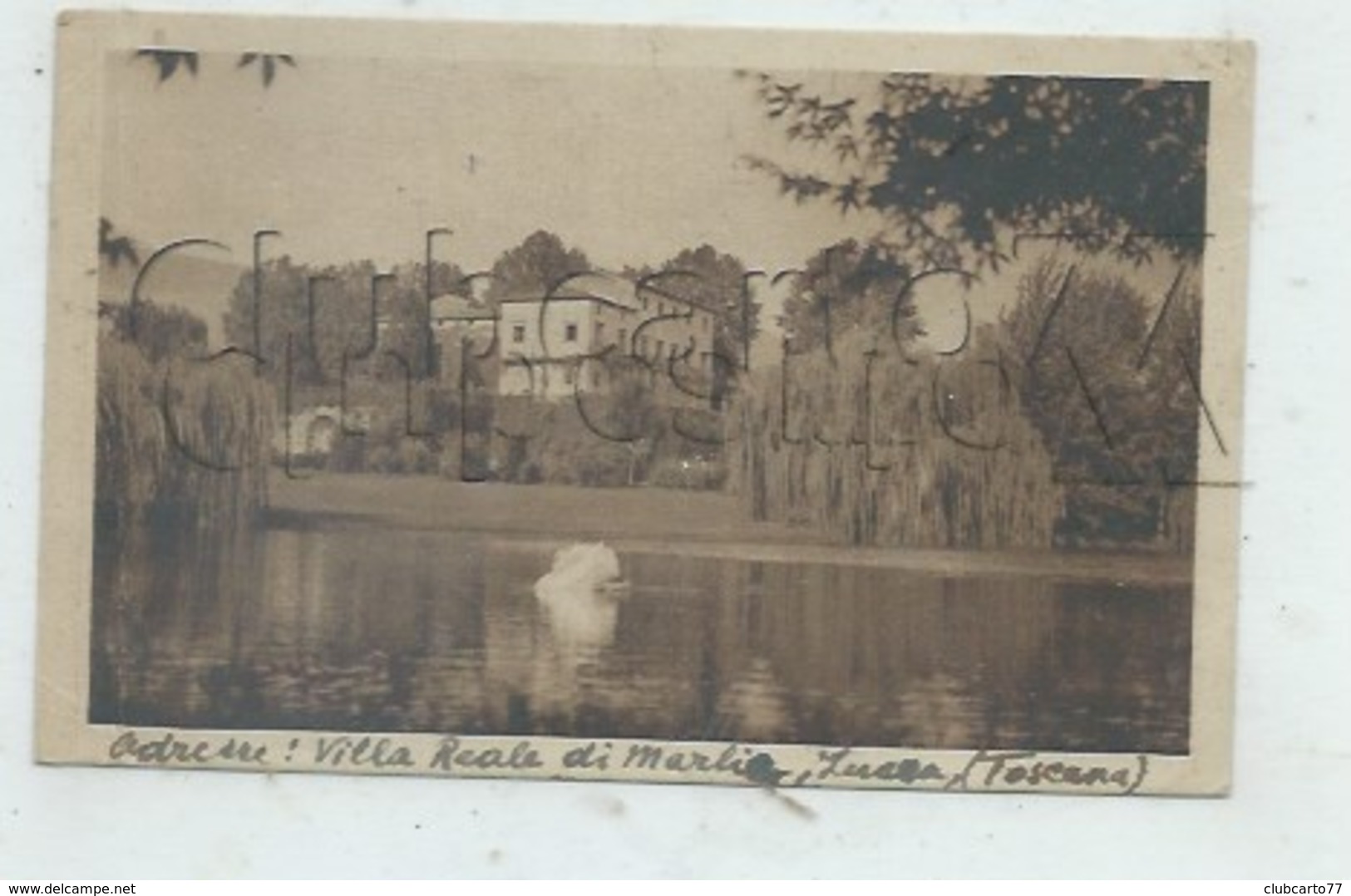 Lucca Ou Lucques (Italie, Toscane) : GP De La Villa Réale Di Marlia En 1934 PF - Lucca