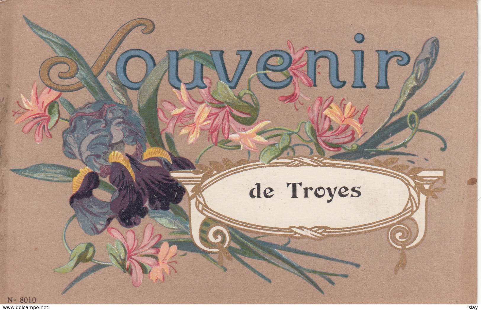 10 - TROYES - Souvenir - Troyes