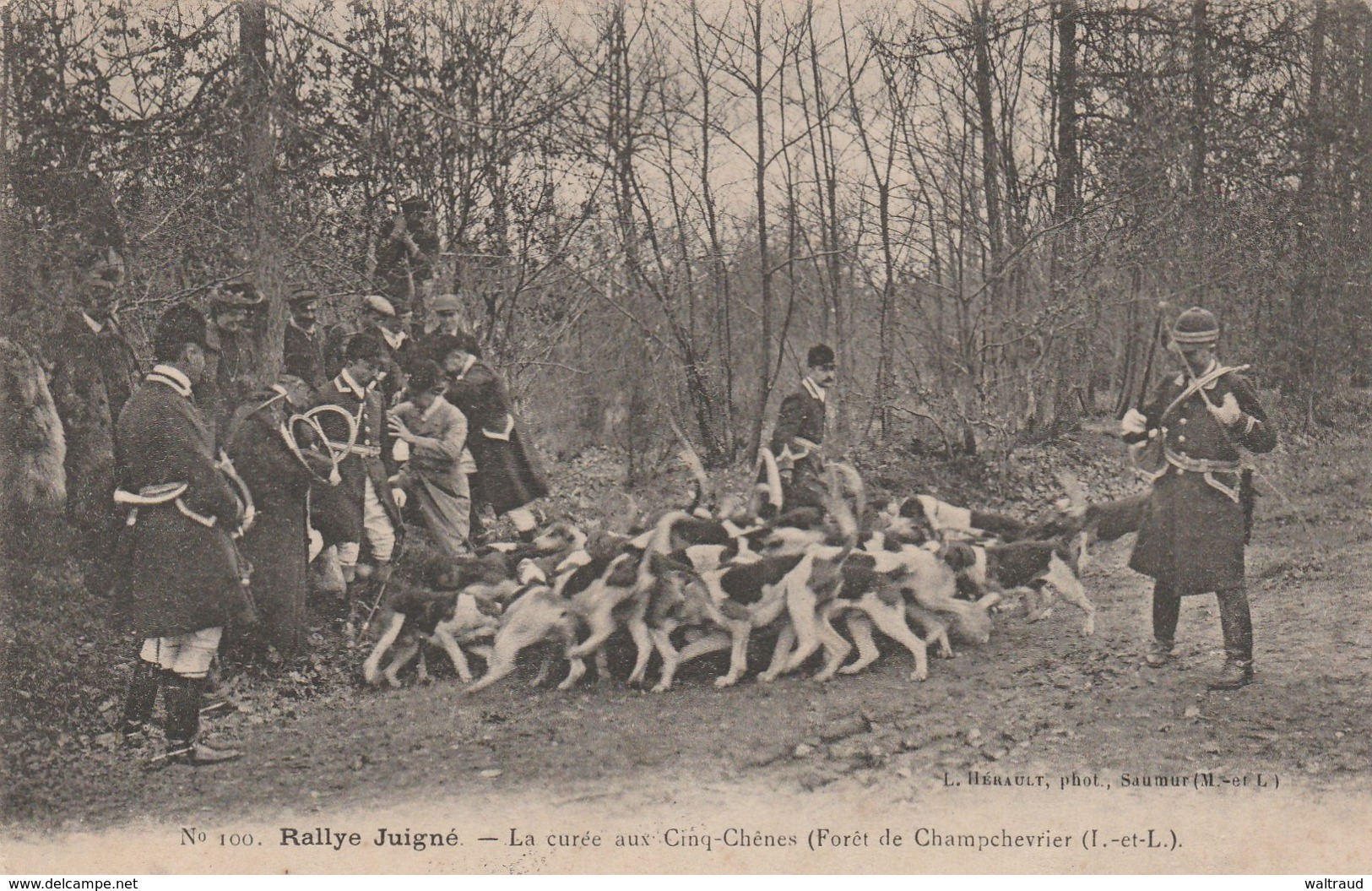 37--CLERE LES PINS--RALLYE JUIGNE-LA CUREE AUX CINQ-CHENES--VOIR SCANNER - Cléré-les-Pins