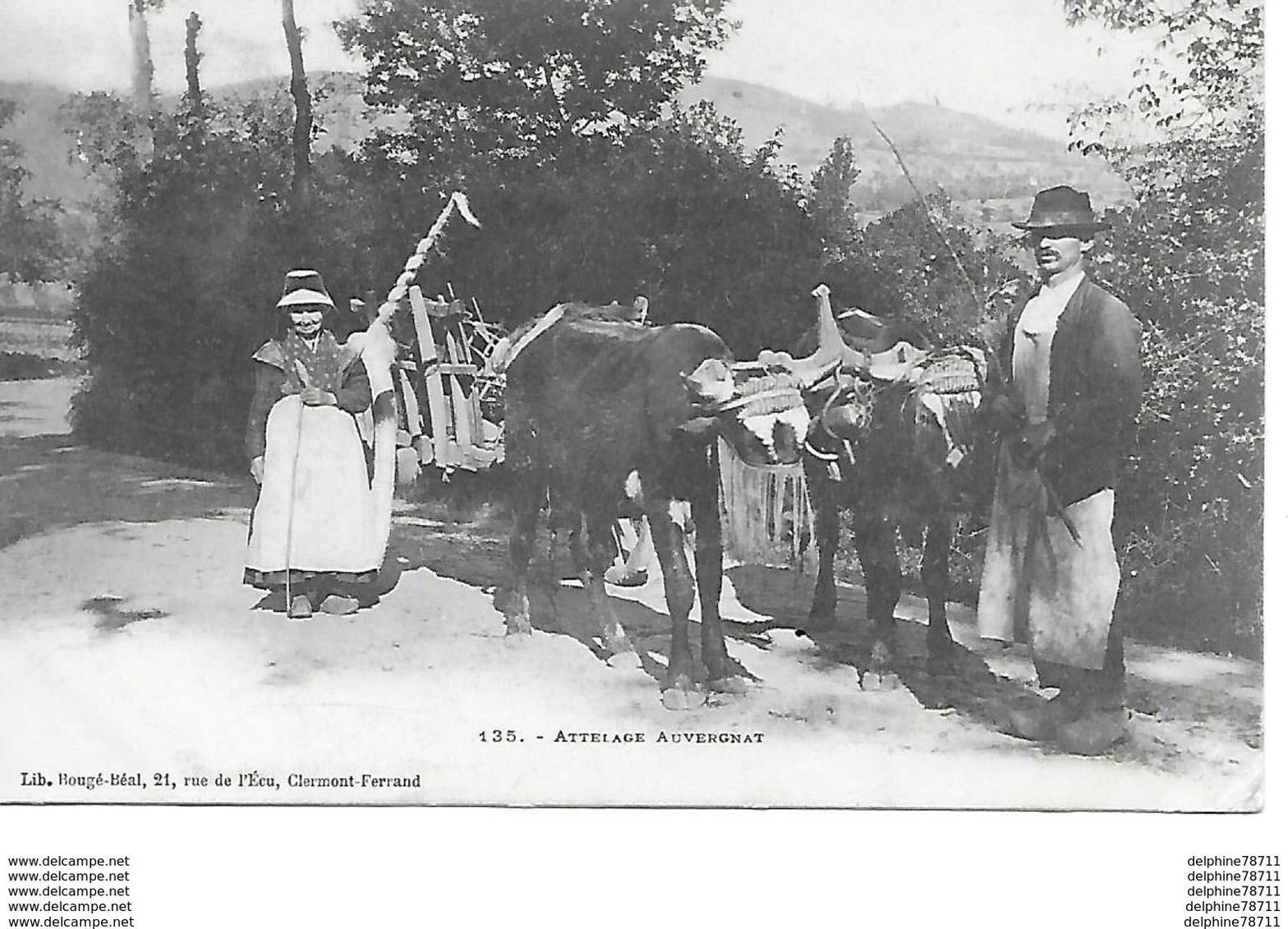 Attelage Auvergnat - Auvergne Types D'Auvergne