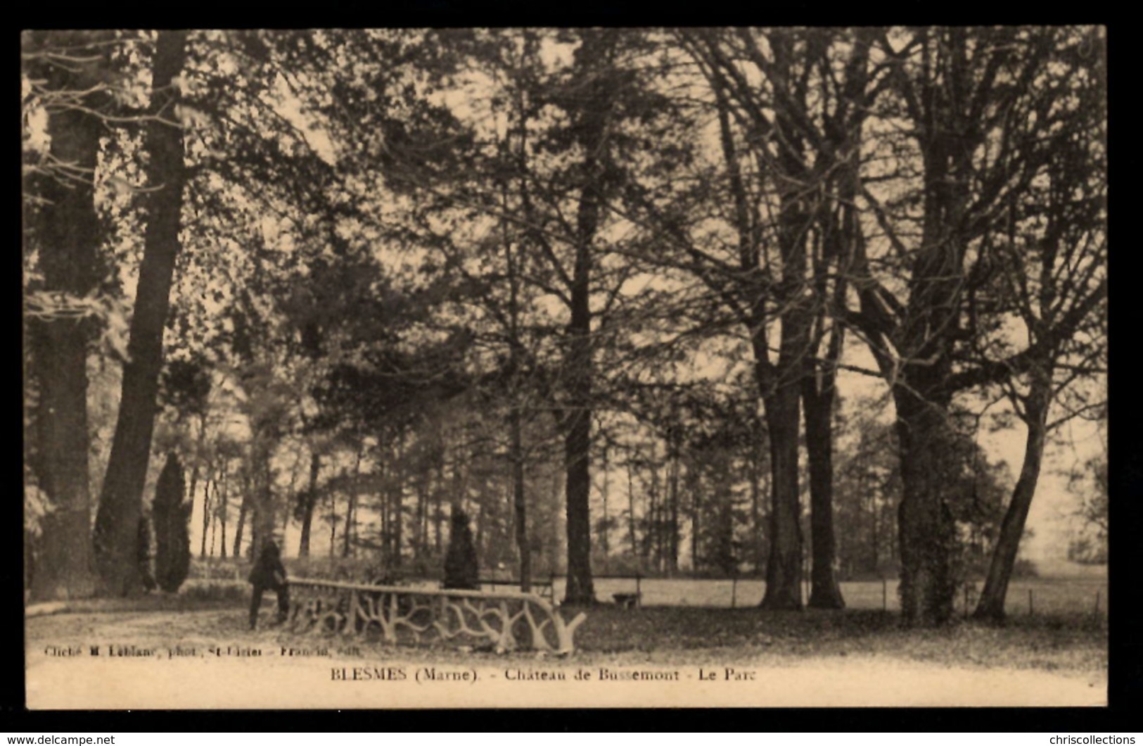 51 - BLESME (Marne) - Château De Bussemont - Le Parc - Other & Unclassified