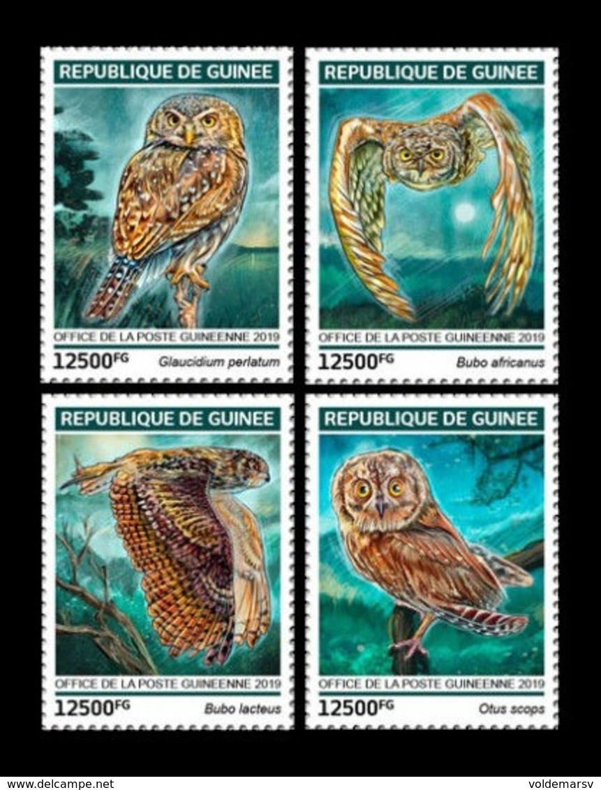 Guinea 2019 Mih. 13580/83 Fauna. Birds. Owls MNH ** - Guinea (1958-...)